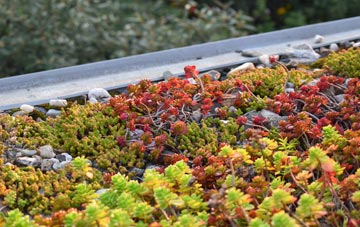 the cost of Tom An Fhuadain green roof installation
