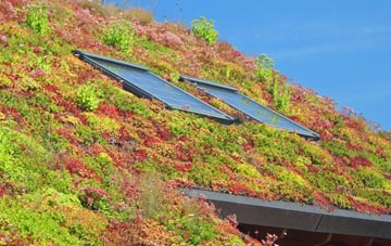 Tom An Fhuadain living roof systems
