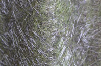 Tom An Fhuadain fibreglass roof work